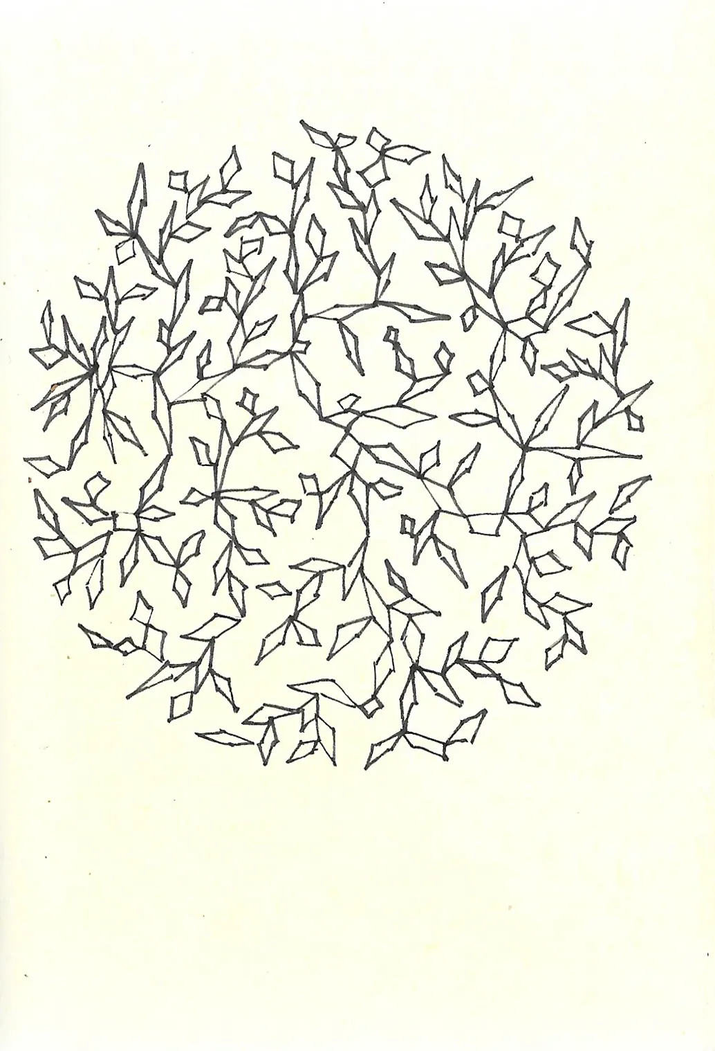 drawing