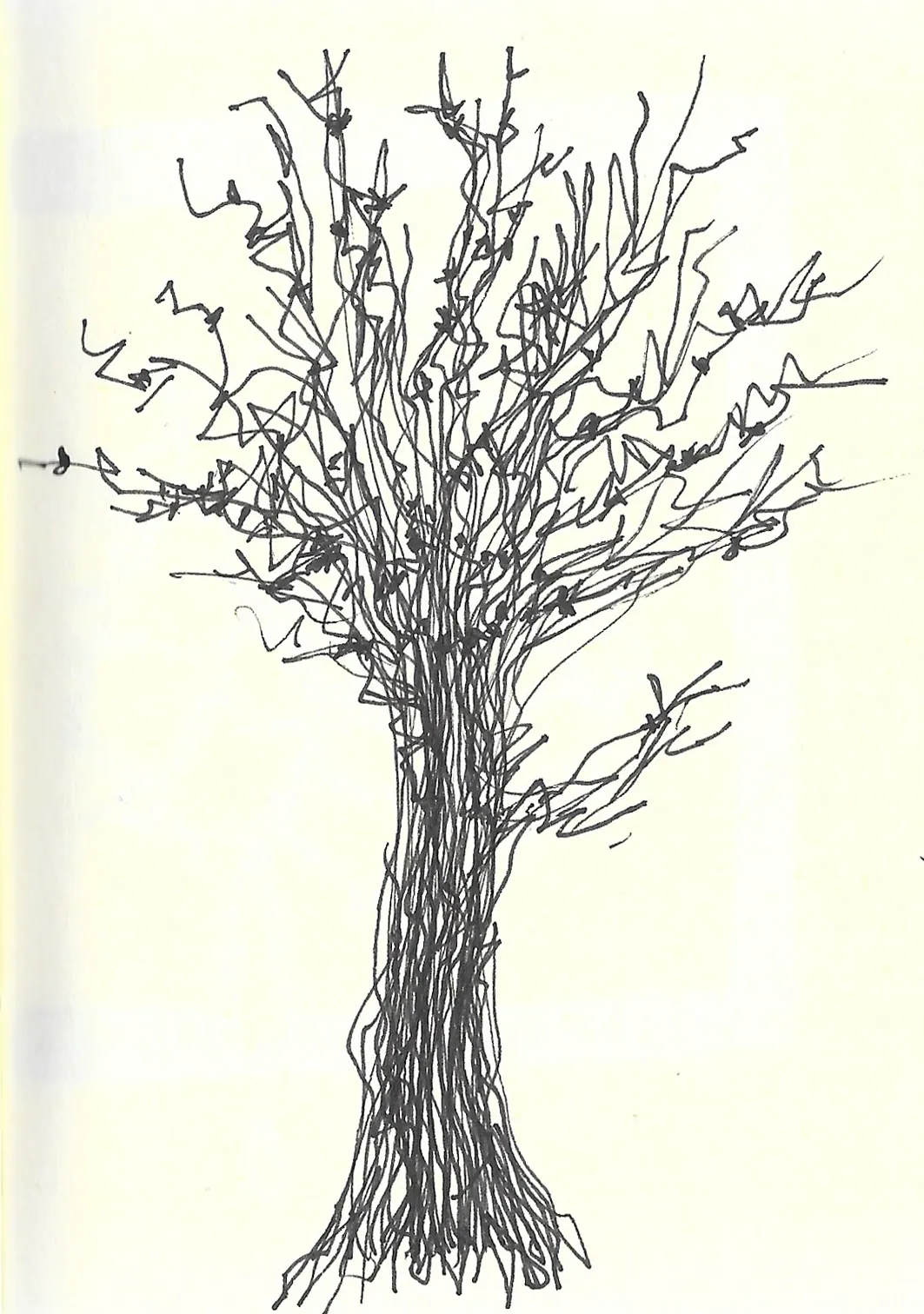 drawing