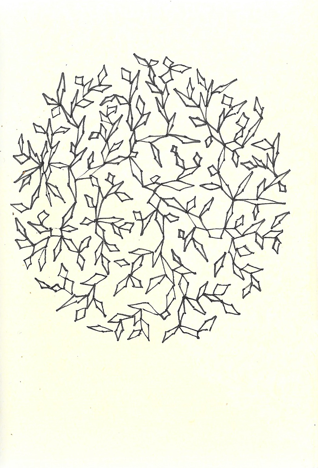 drawing