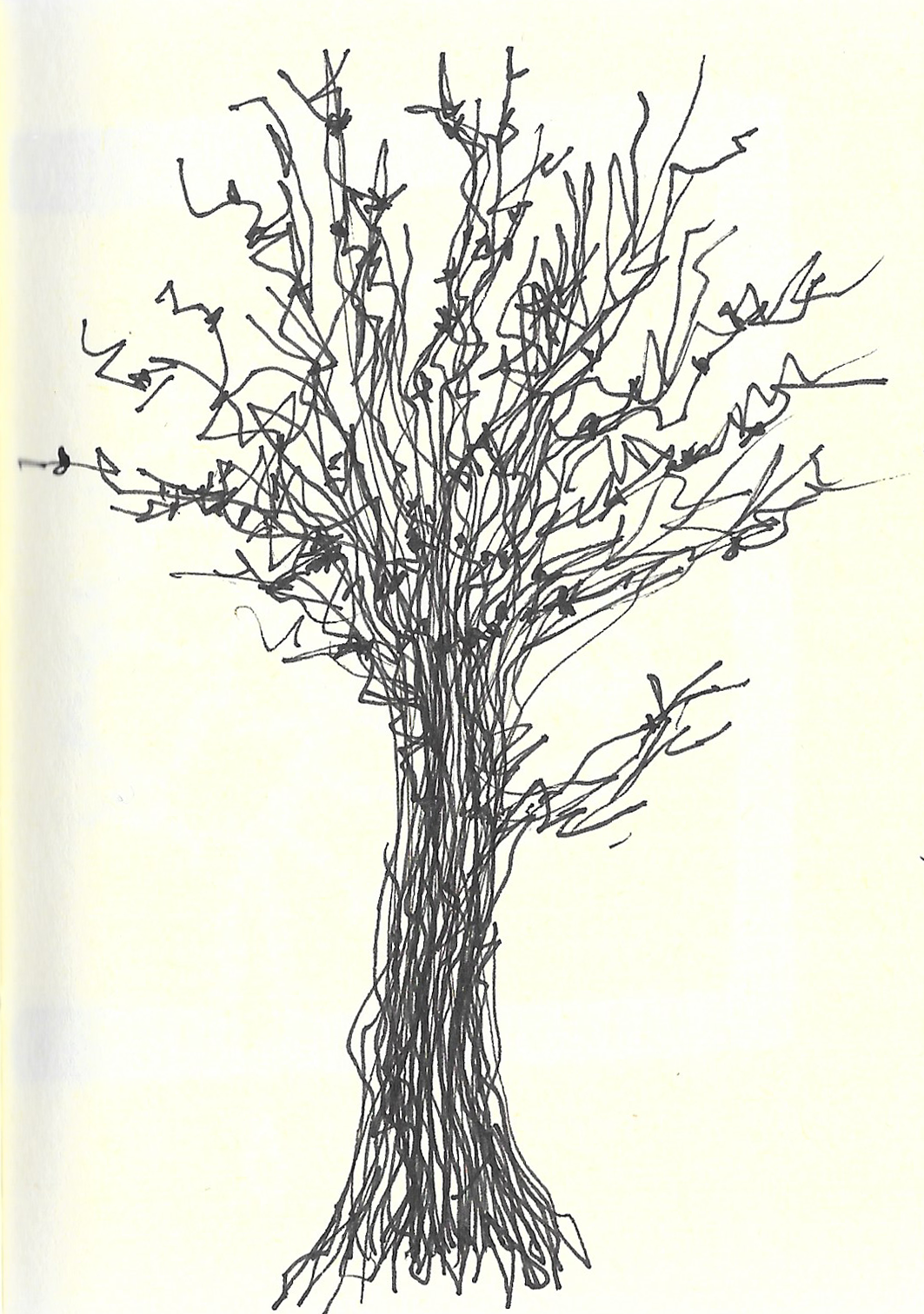 drawing